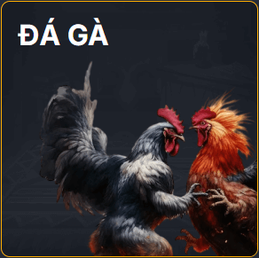 123B 27 123b-da-ga
